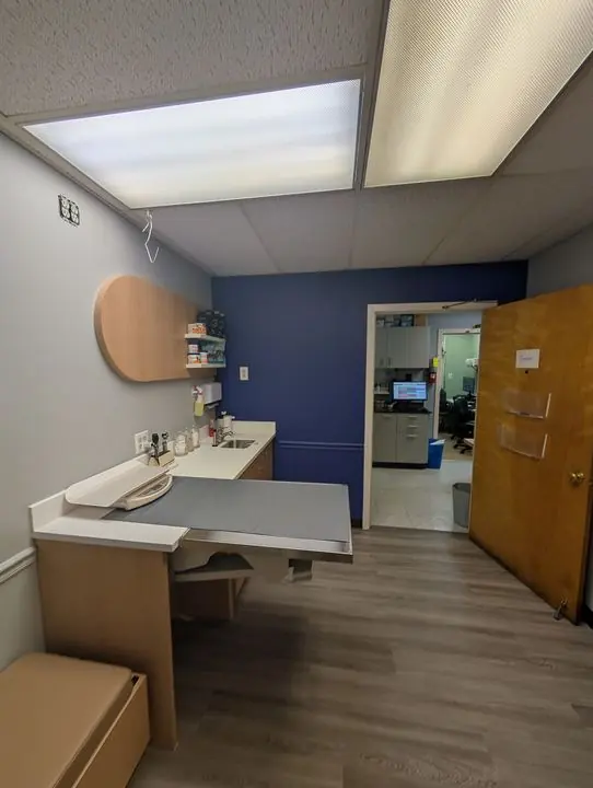 Wheaton Animal Hospital Renovation - photo 10